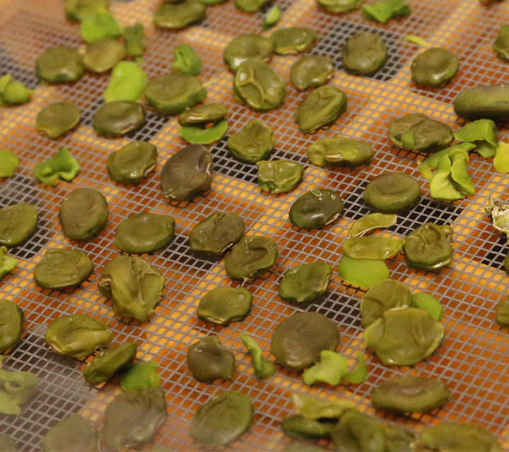 だだ茶豆右衛門